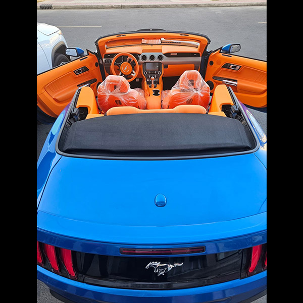 Rent Ford Mustang - Image 2