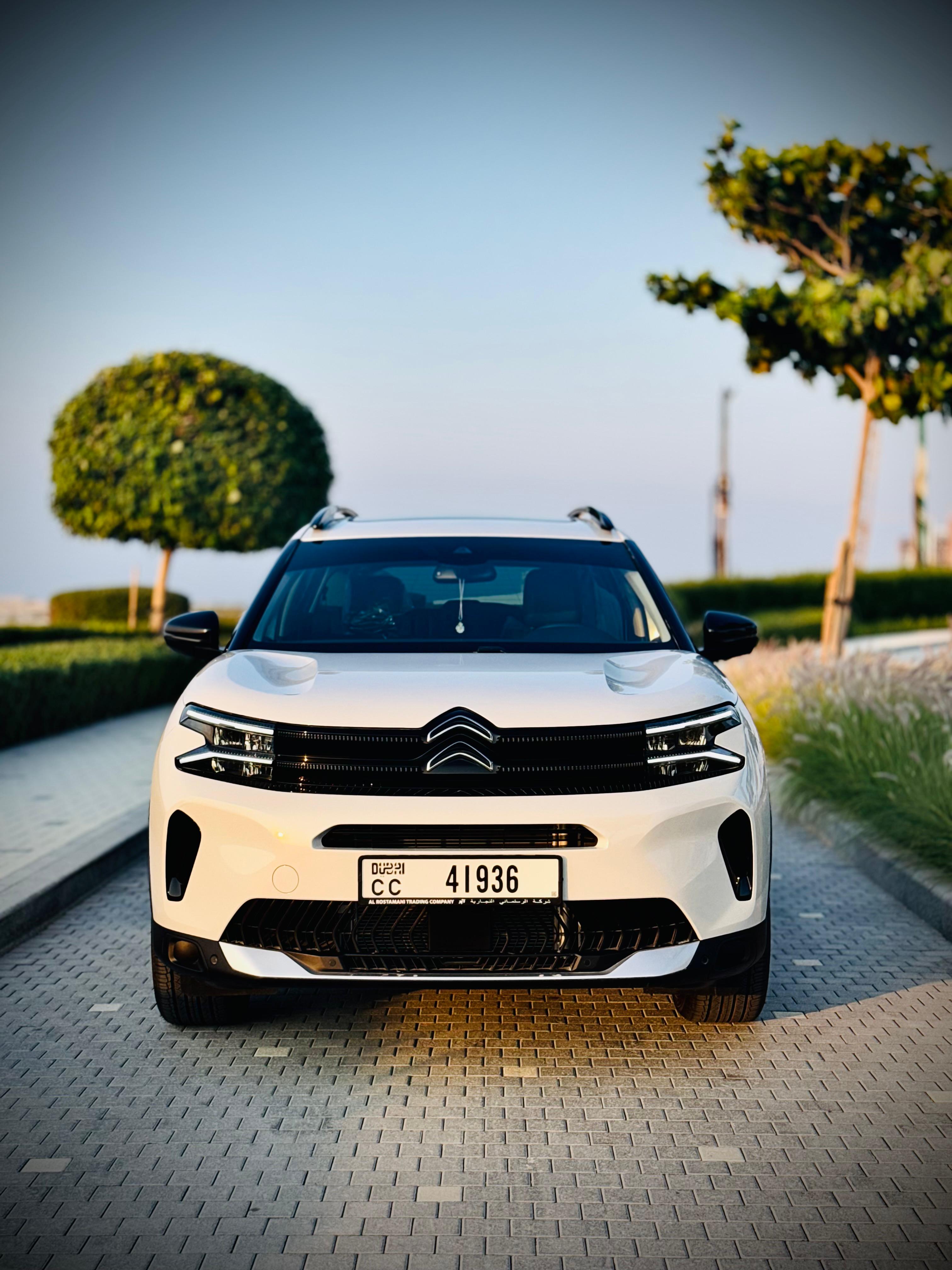 Citroen C5 - Image 2