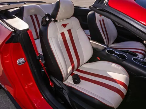 Rent Ford Mustang GT in Dubai UAE